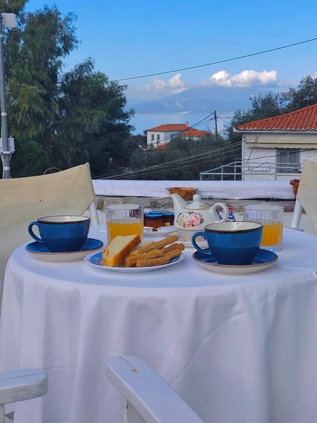 deilino (26) 450x600