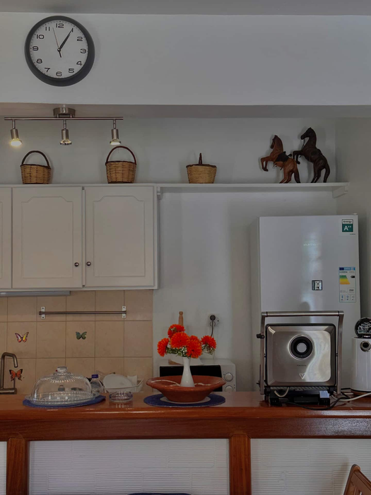 deilino (43) 525x700