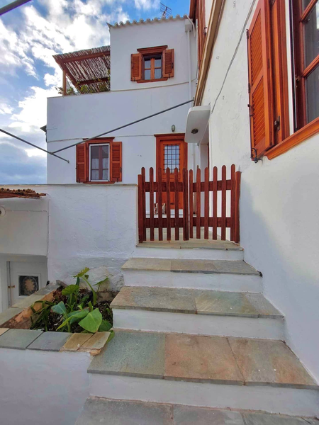 deilino (45) 450x600