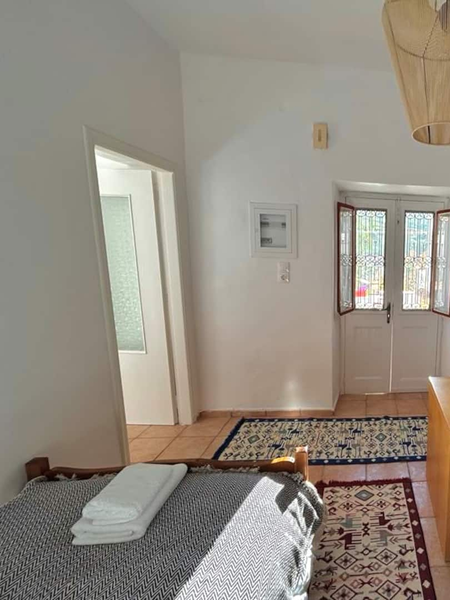 deilino (46) 450x600